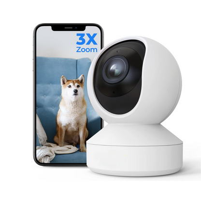 Paketti - RoomWatch™ + SnapStick™